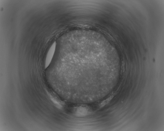 X0000087410412200705181402