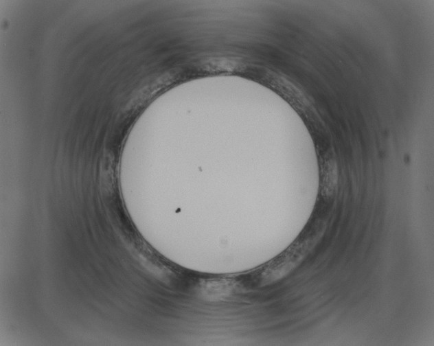 X0000087410414200705181402