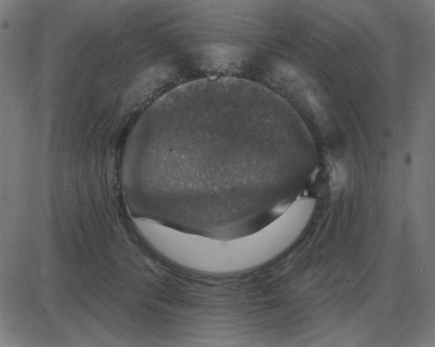 X0000087410416200705181402