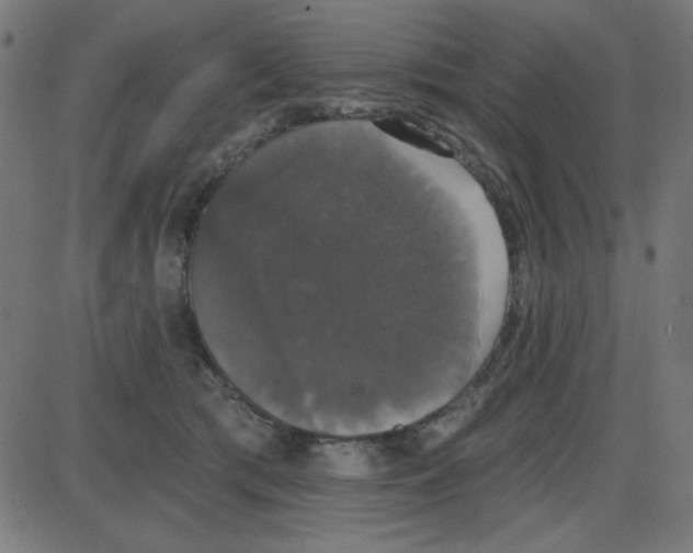 X0000087410417200705181402