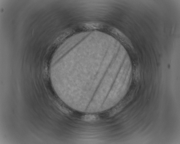 X0000087410418200705181402