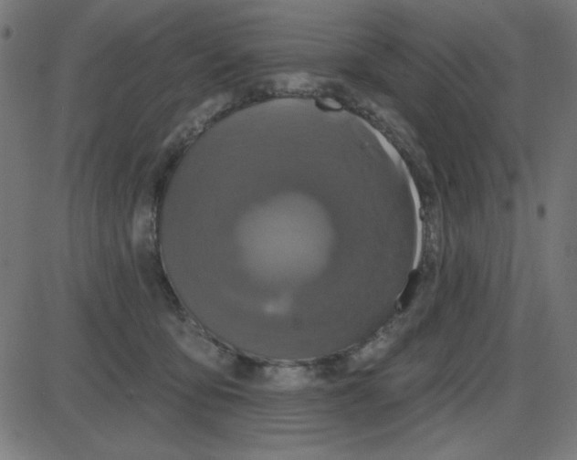 X0000087410419200705181402