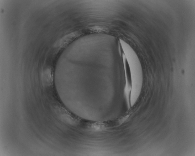 X0000087410420200705181402