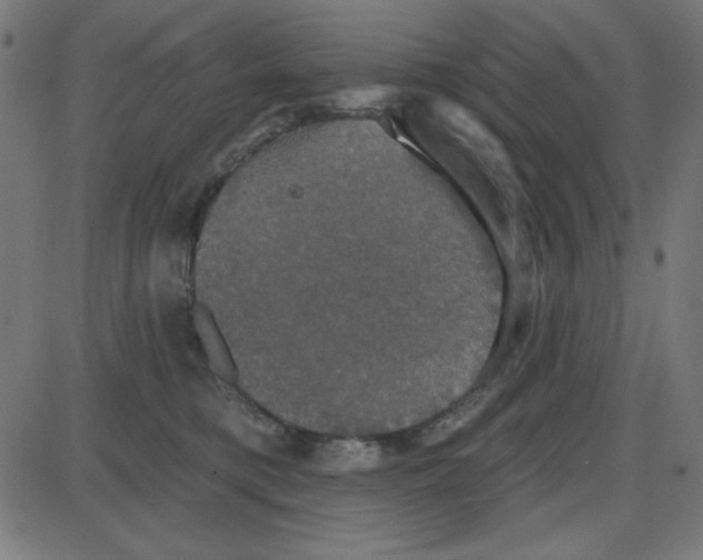 X0000087410421200705181402