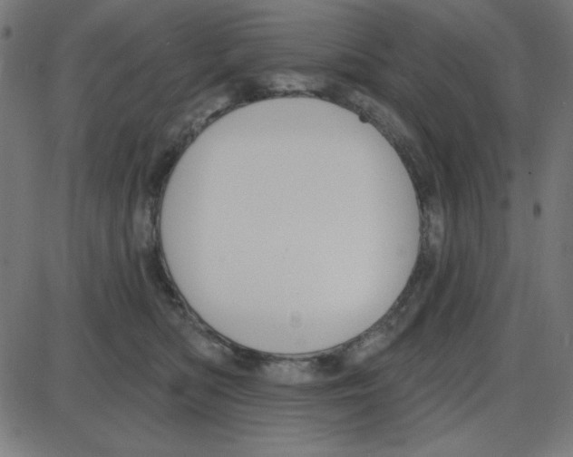 X0000087410422200705181402