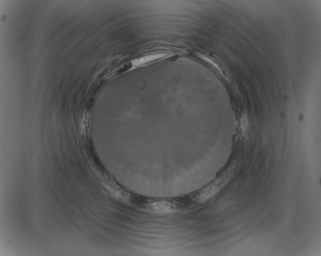 X0000087410423200705181402