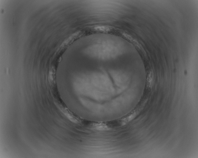 X0000087410424200705181402