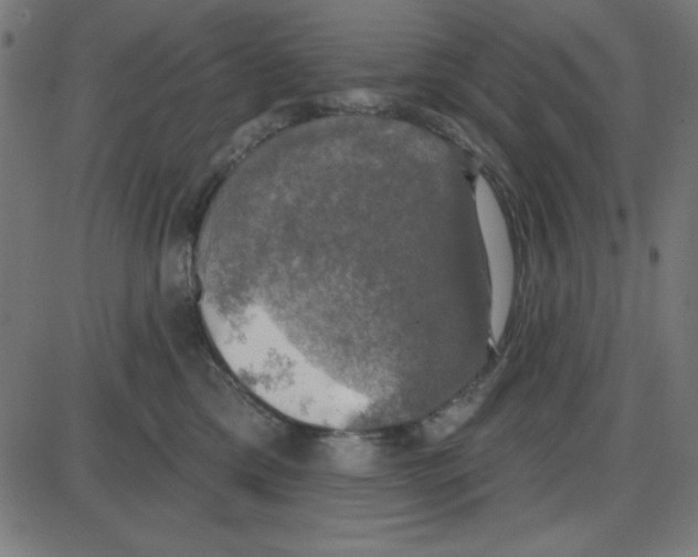 X0000087410425200705181402