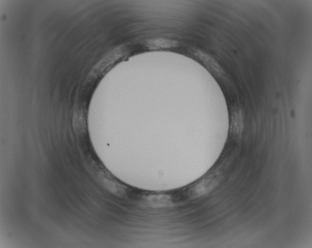 X0000087410426200705181402