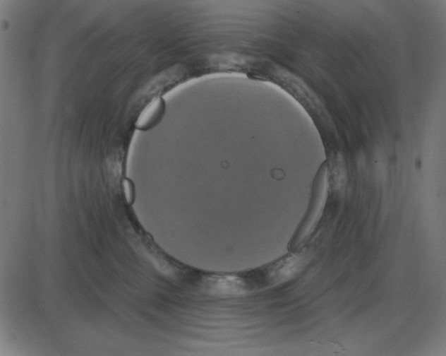 X0000087410427200705181402