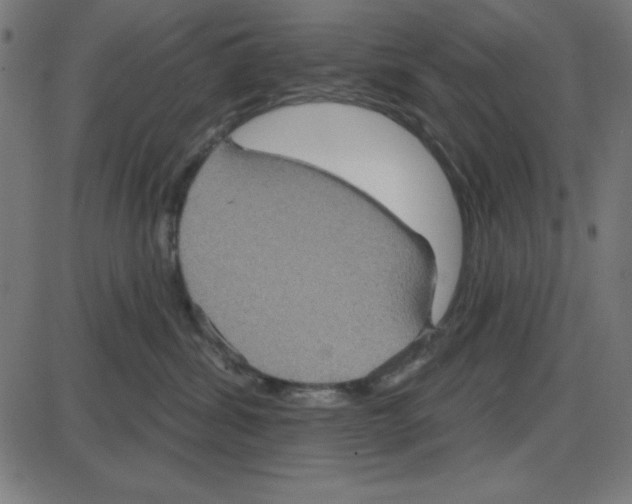 X0000087410428200705181402