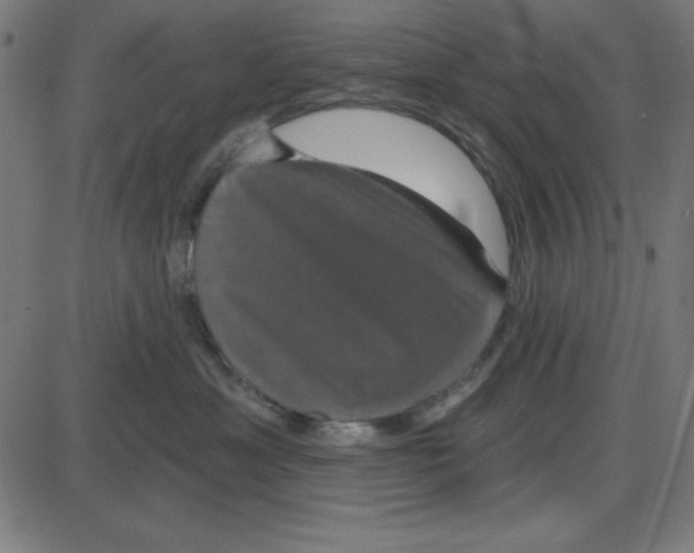 X0000087410429200705181402