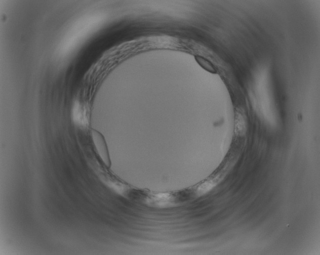 X0000087410431200705181402