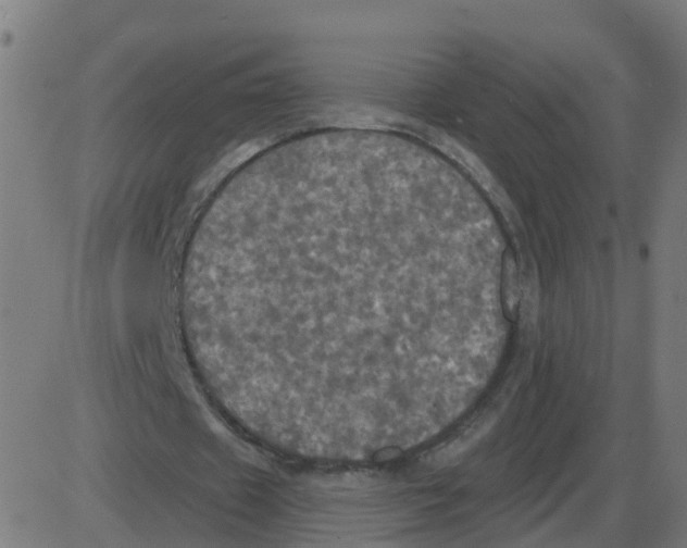 X0000087410433200705181401