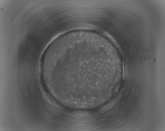 X0000087410435200705181401