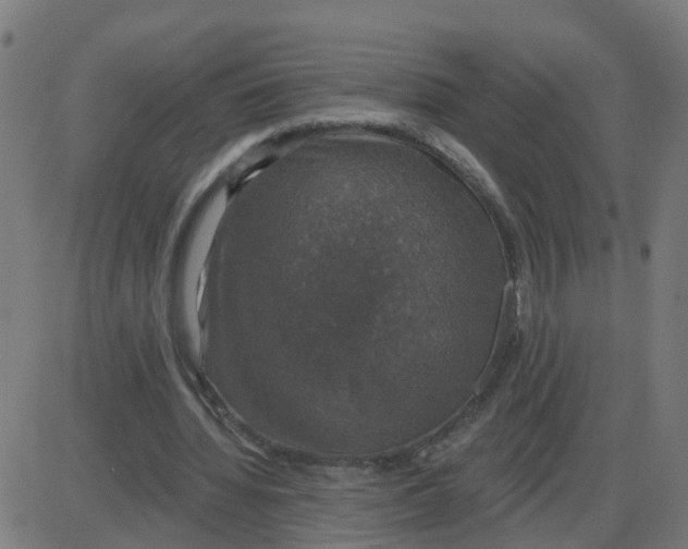 X0000087410436200705181401