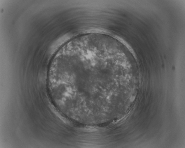 X0000087410437200705181401