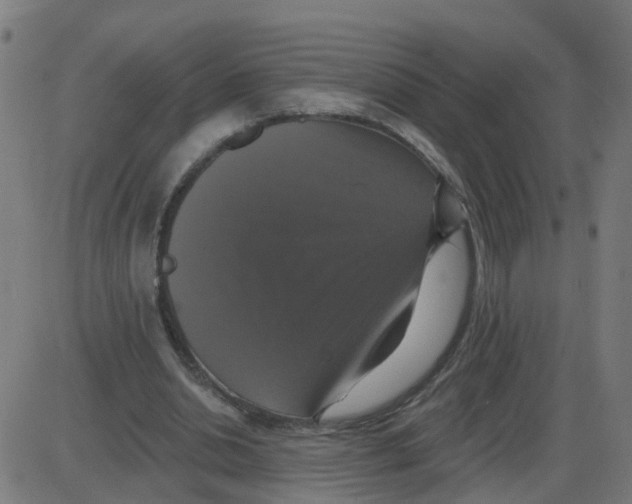 X0000087410438200705181401