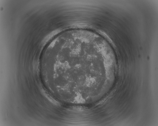 X0000087410439200705181401