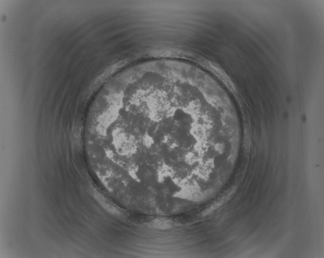 X0000087410441200705181401