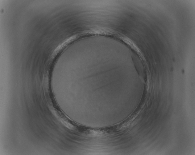 X0000087410442200705181401