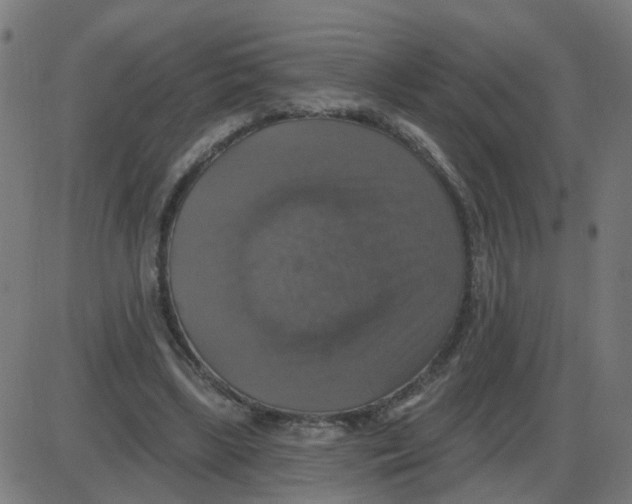 X0000087410443200705181401