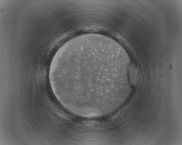 X0000087410448200705181401