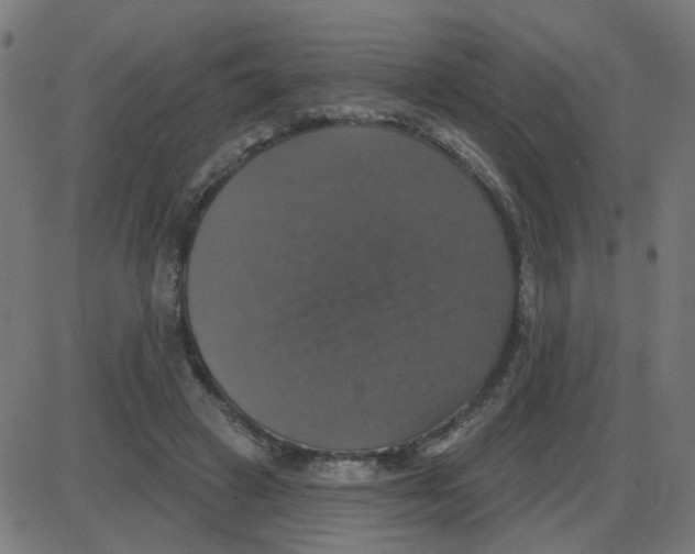 X0000087410449200705181401