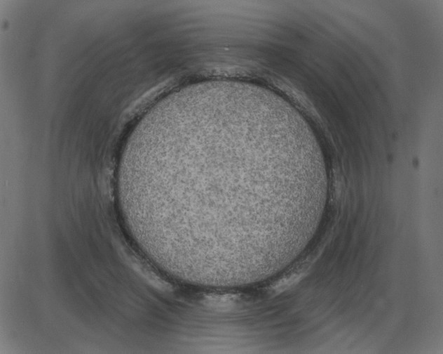 X0000087410450200705181402