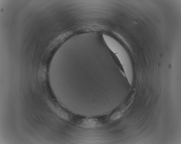 X0000087410451200705181402