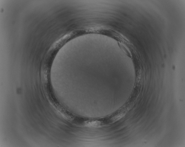 X0000087410452200705181402