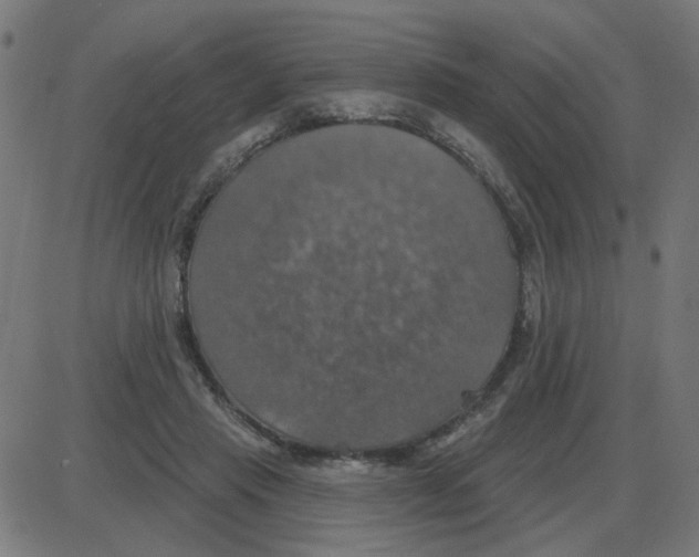 X0000087410453200705181402