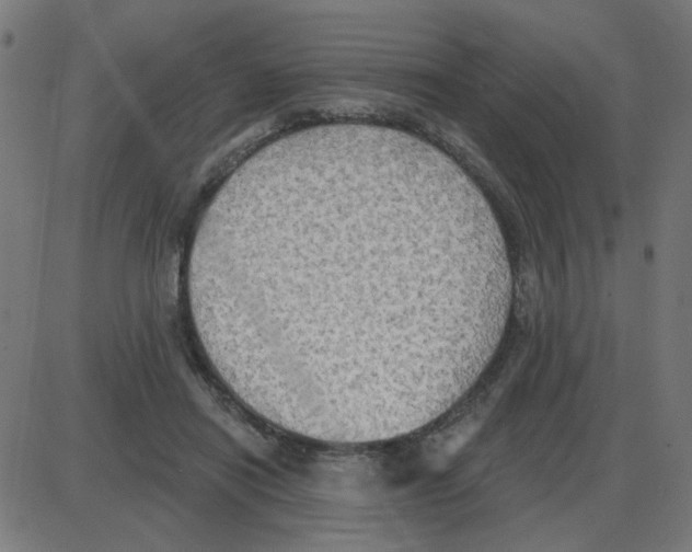 X0000087410454200705181402