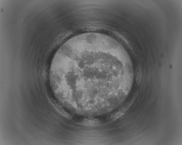 X0000087410455200705181402