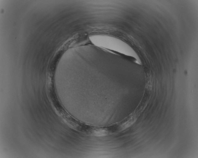 X0000087410456200705181402