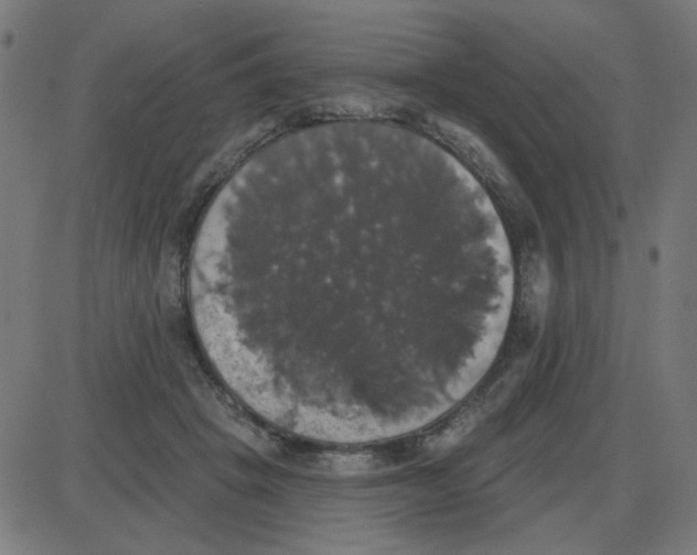 X0000087410457200705181402