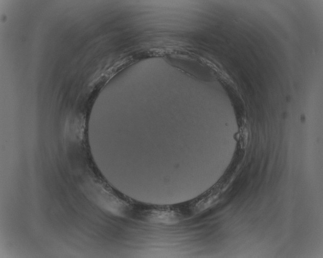 X0000087410458200705181402