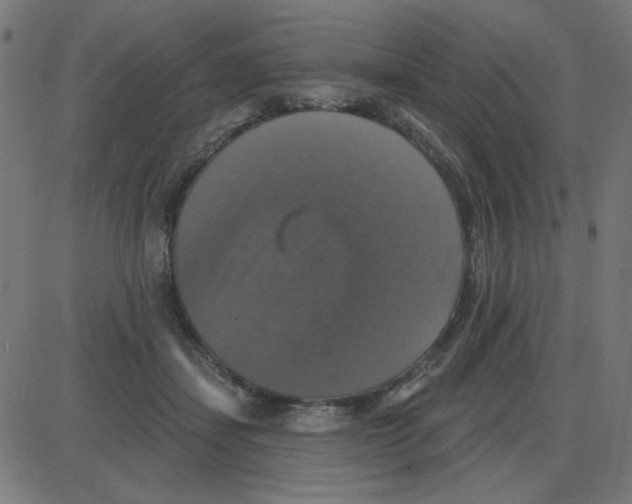 X0000087410459200705181402