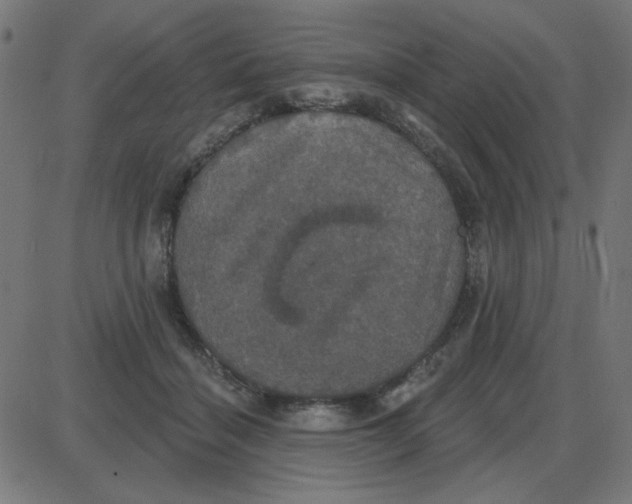 X0000087410460200705181402