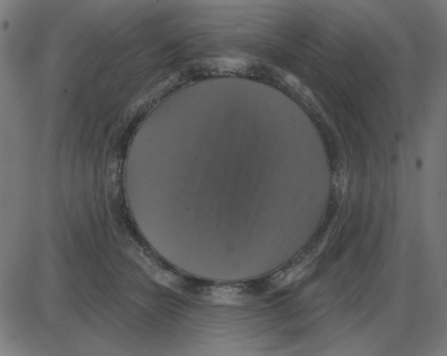 X0000087410462200705181402