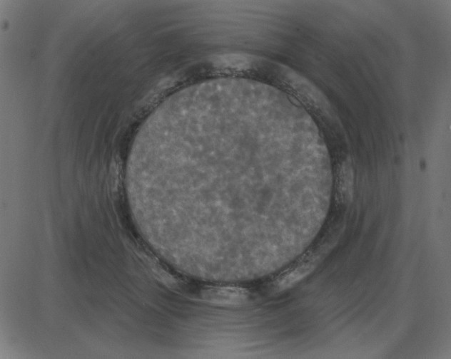 X0000087410463200705181402