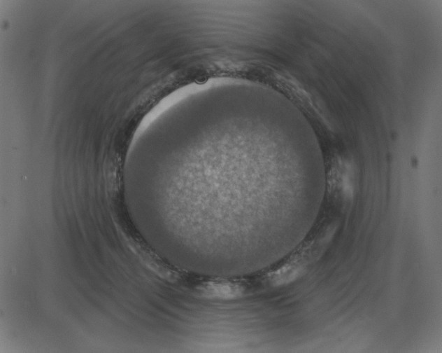 X0000087410464200705181402