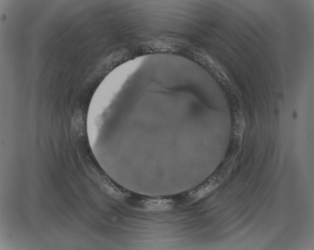 X0000087410465200705181402