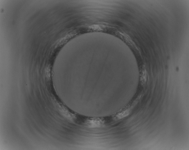 X0000087410466200705181402