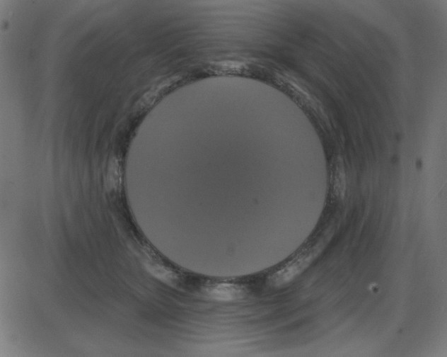 X0000087410467200705181402