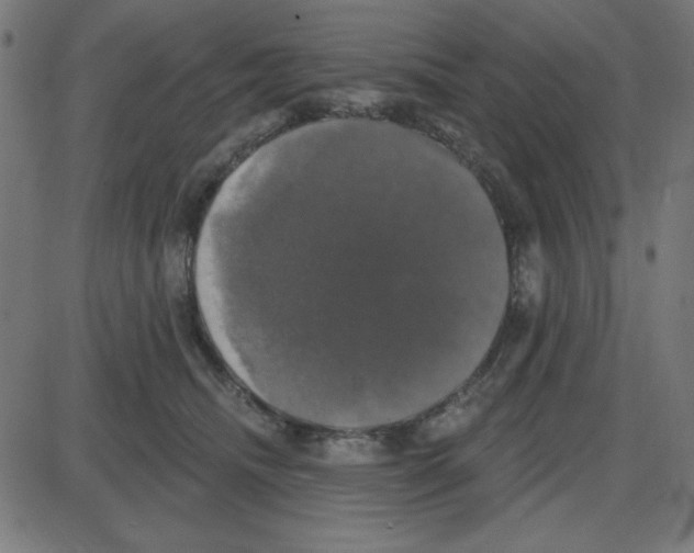 X0000087410468200705181402