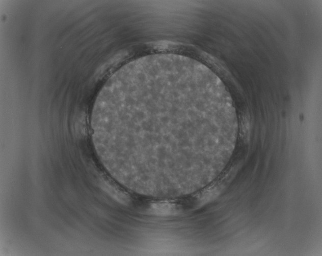 X0000087410470200705181402