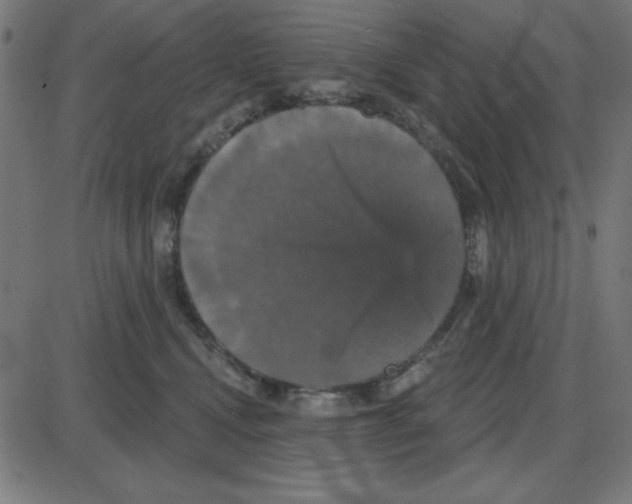 X0000087410472200705181402