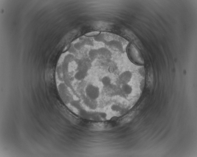 X0000087410473200705181402