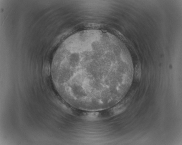 X0000087410474200705181402